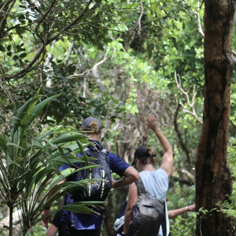 Byronbaycoastalwalks